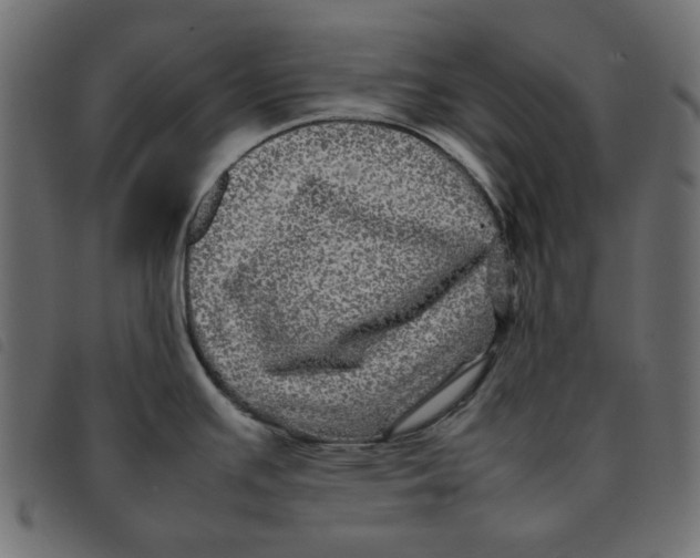 X0000092211391200710121120