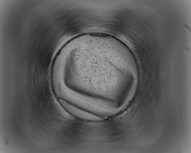 X0000092211392200710121120