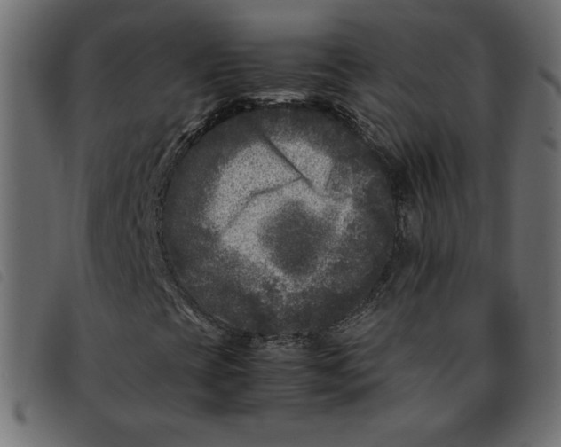 X0000092211393200710121119