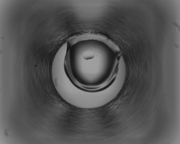 X0000092211394200710121119