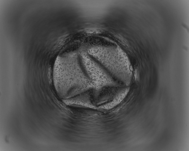 X0000092211396200710121119