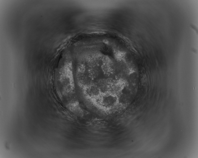 X0000092211397200710121119