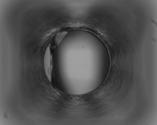 X0000092211398200710121119