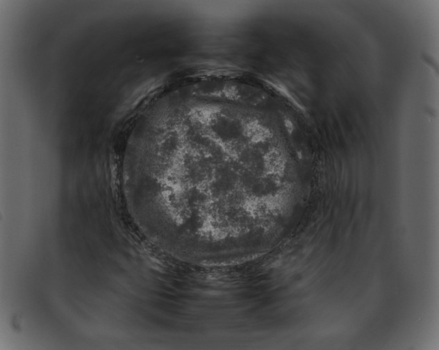 X0000092211399200710121119