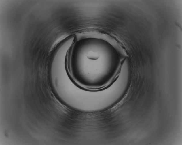X0000092211402200710121119