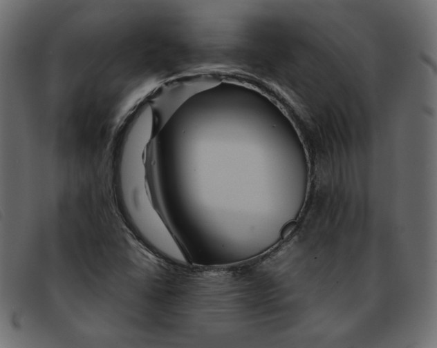 X0000092211406200710121119