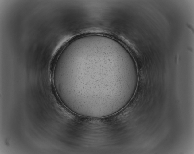 X0000092211408200710121119
