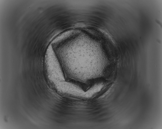 X0000092211409200710121119