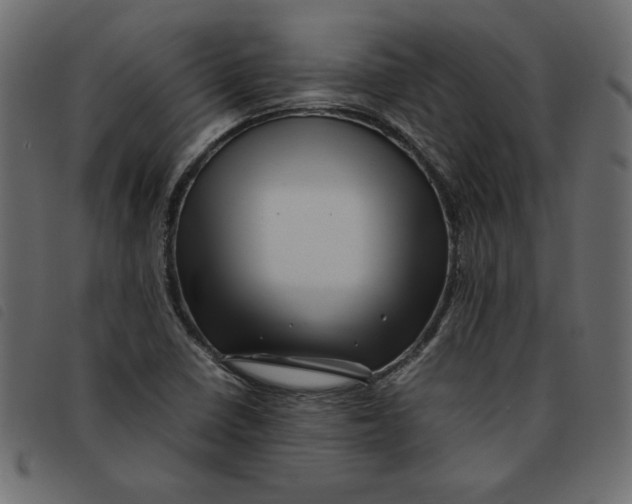 X0000092211410200710121119
