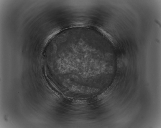 X0000092211411200710121119