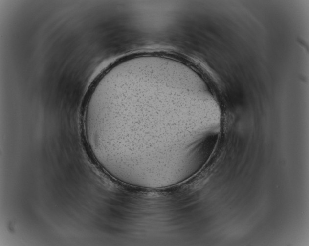 X0000092211412200710121119