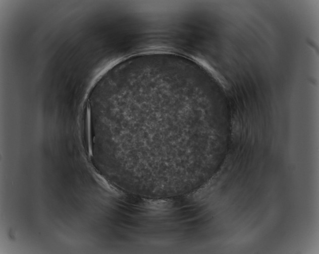 X0000092211413200710121119
