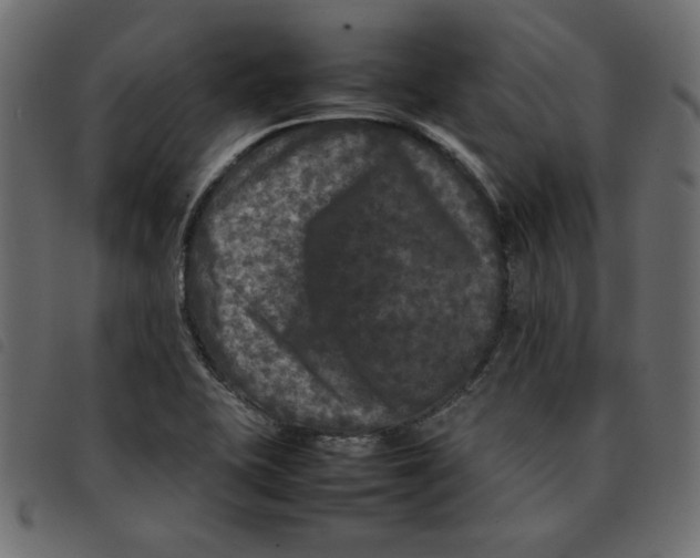 X0000092211415200710121119