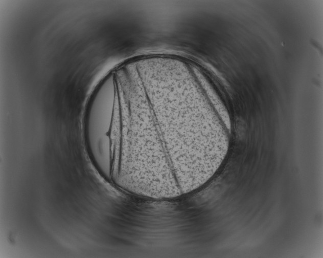 X0000092211416200710121119
