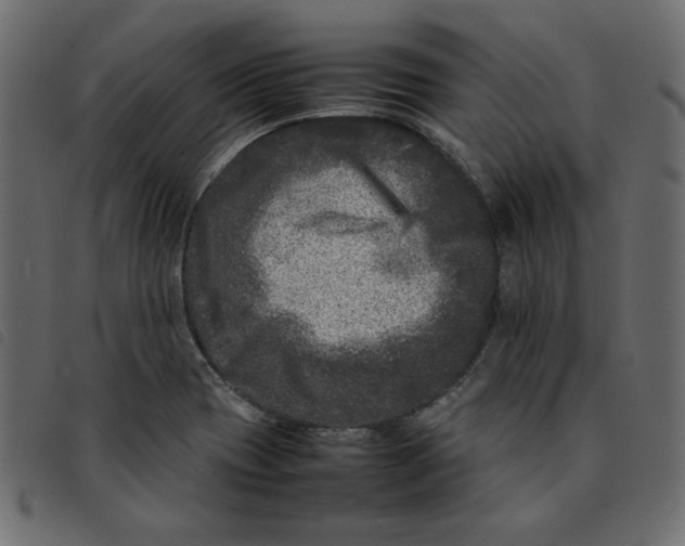 X0000092211417200710121119