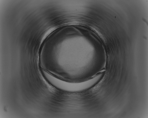 X0000092211418200710121119