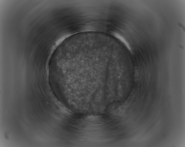 X0000092211419200710121119