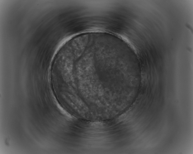 X0000092211421200710121119