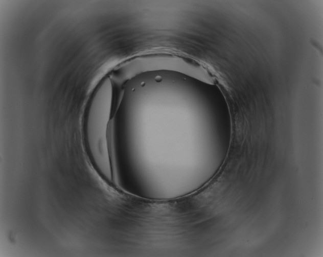 X0000092211422200710121119