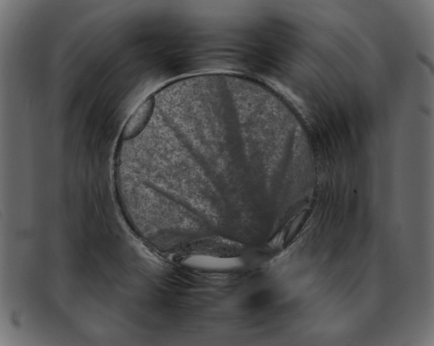 X0000092211423200710121119