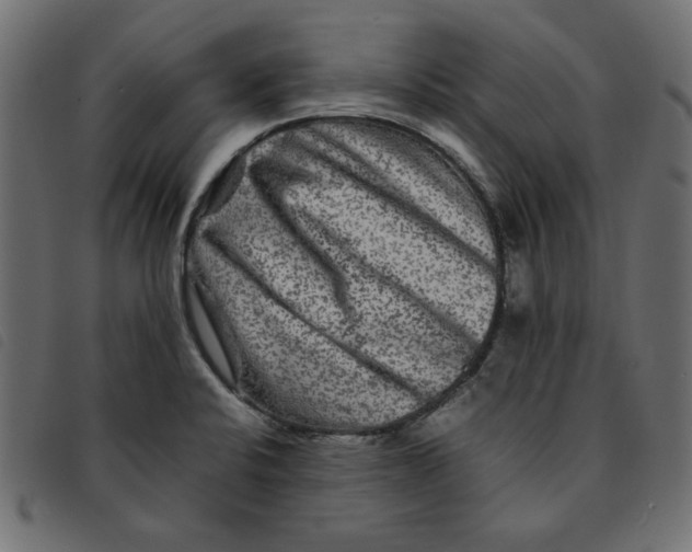 X0000092211424200710121119