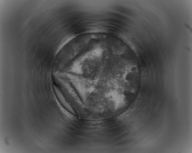 X0000092211425200710121119