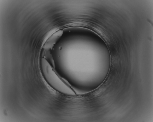 X0000092211426200710121119