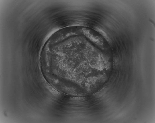 X0000092211427200710121119