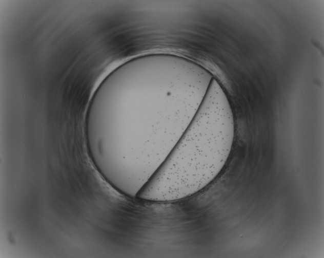 X0000092211428200710121119