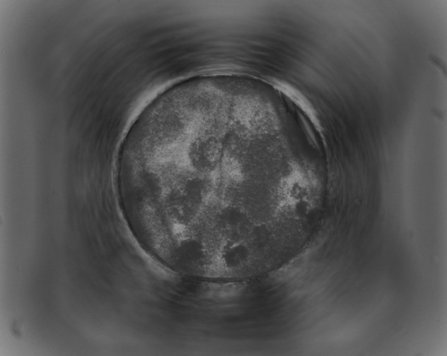X0000092211429200710121119