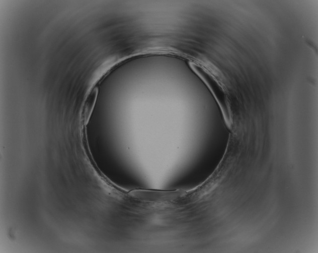X0000092211430200710121119