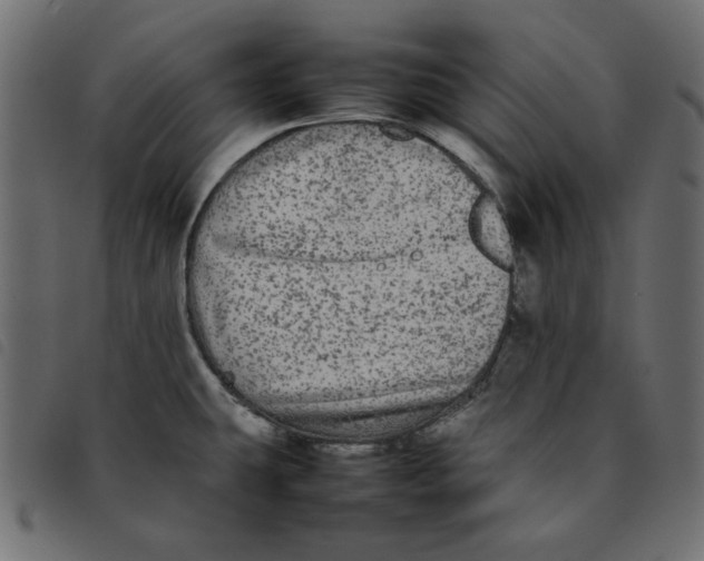 X0000092211431200710121119