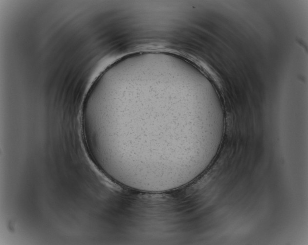 X0000092211432200710121119