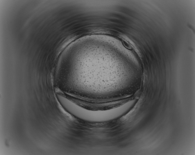 X0000092211433200710121119