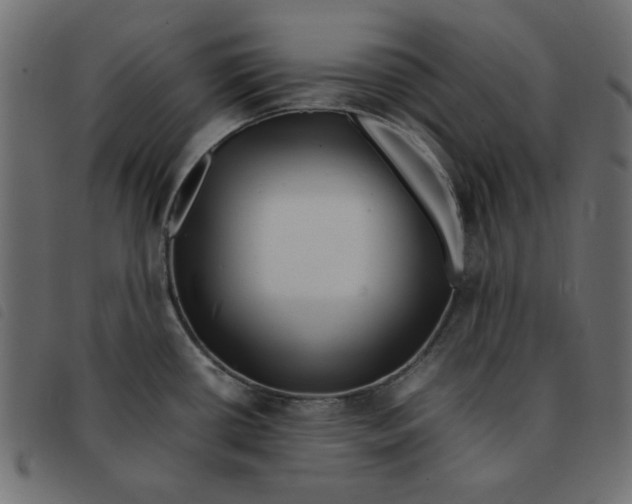 X0000092211434200710121119