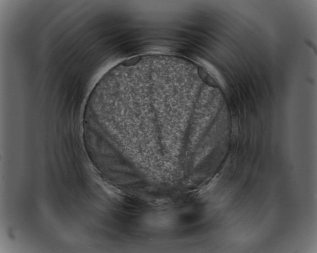 X0000092211435200710121119