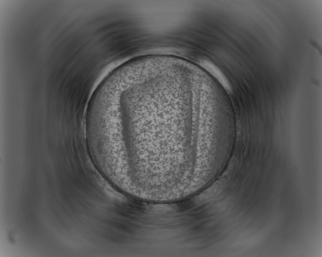 X0000092211436200710121120