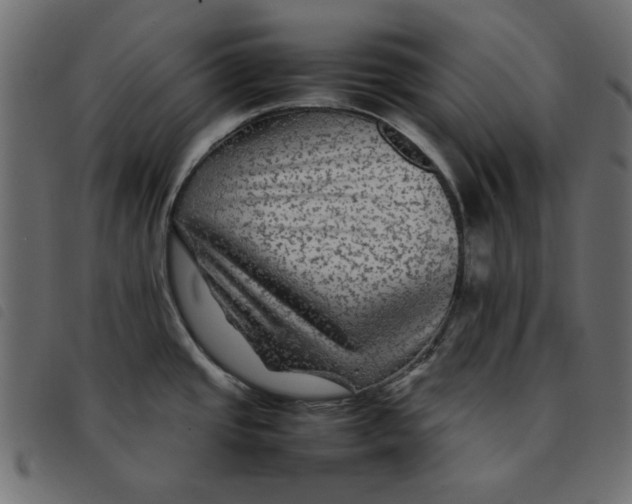 X0000092211437200710121120