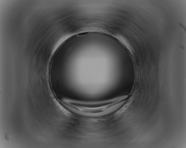 X0000092211438200710121120