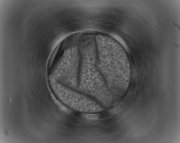 X0000092211439200710121120