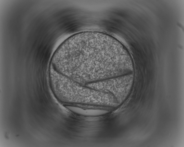 X0000092211440200710121120
