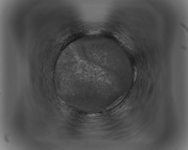 X0000092211441200710121119