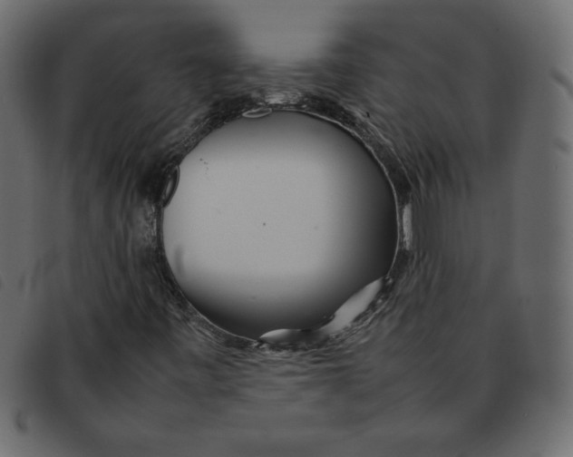 X0000092211443200710121119