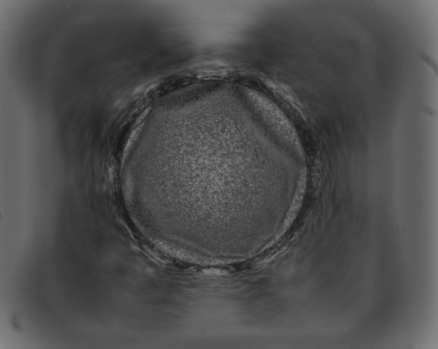 X0000092211445200710121119