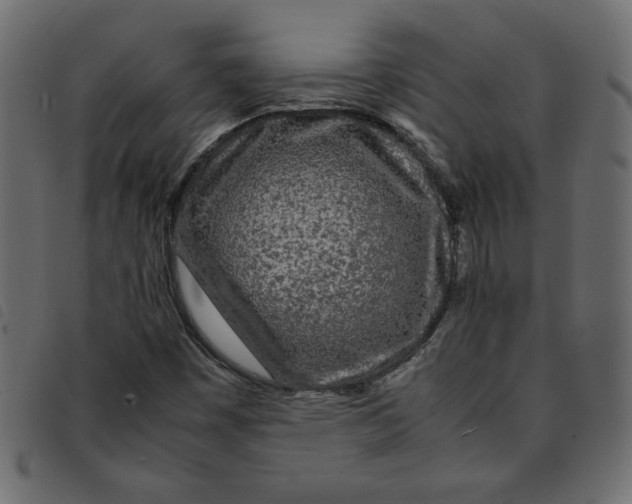 X0000092211449200710121119
