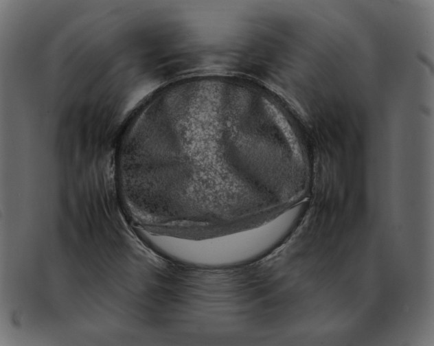 X0000092211450200710121119