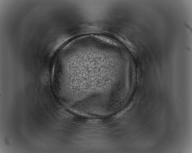X0000092211453200710121119
