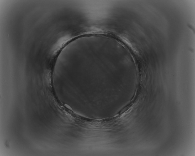 X0000092211455200710121119