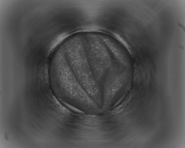X0000092211456200710121119
