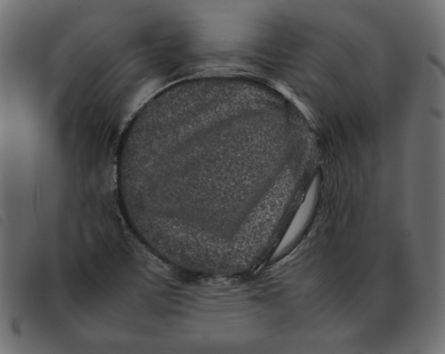 X0000092211459200710121119